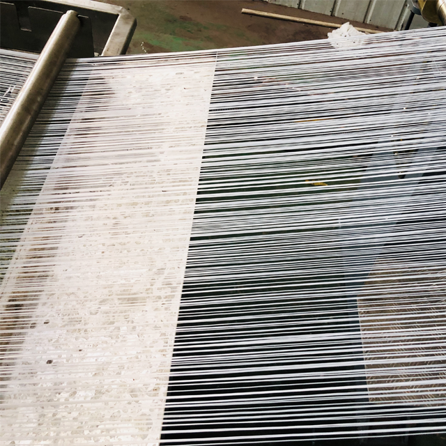 High Tenacity PE Monofilament Extruder