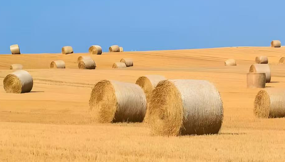 Agricultural Rope and Twine